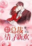 霸总宠妻电视剧片段
