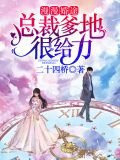 婚途漫漫总裁娶妻