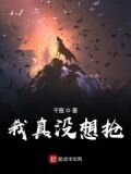 我真没想抢