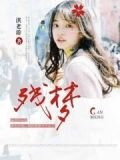 言小安陆云湛